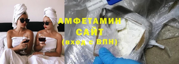 стаф Алзамай