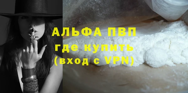 СК Алексин