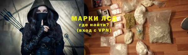 стаф Алзамай