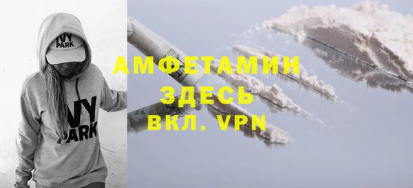 СК Алексин