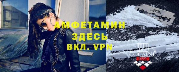 стаф Алзамай